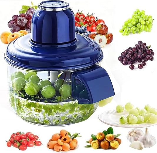 Fruit and Vegetable Peeler